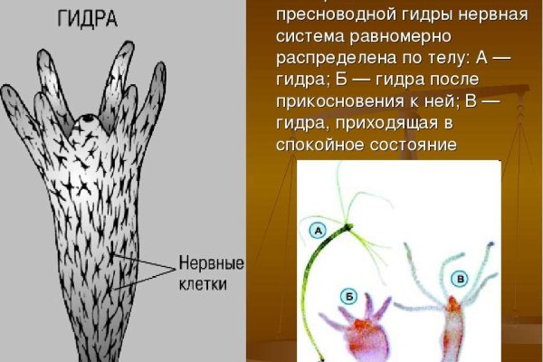 Кракен черный сайт